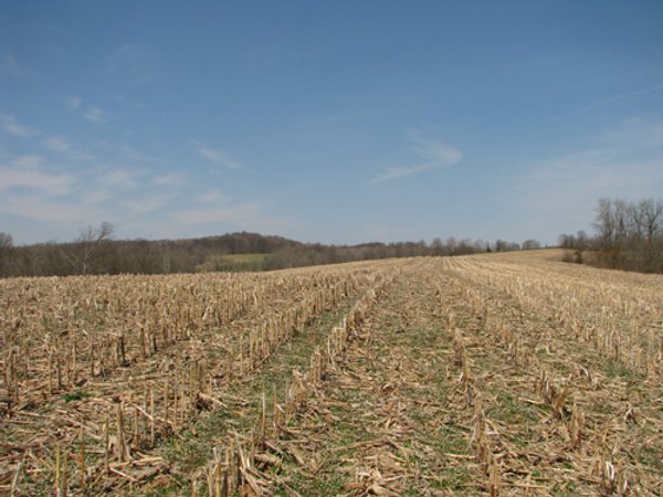 137 Acres in 2 Tracts - 64 Tillable Acres, Potential Building Sites, Hunting